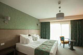 Отель Victoria Bulevard Hotel Брашов Стандартный двухместный номер с 1 кроватью-30