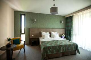 Отель Victoria Bulevard Hotel Брашов Стандартный двухместный номер с 1 кроватью-52